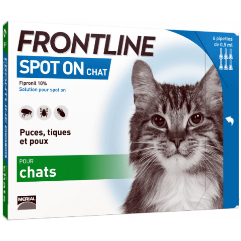 FRONTLINE SPOT ON CHAT 6 PIPETTES antiparasitaire externe