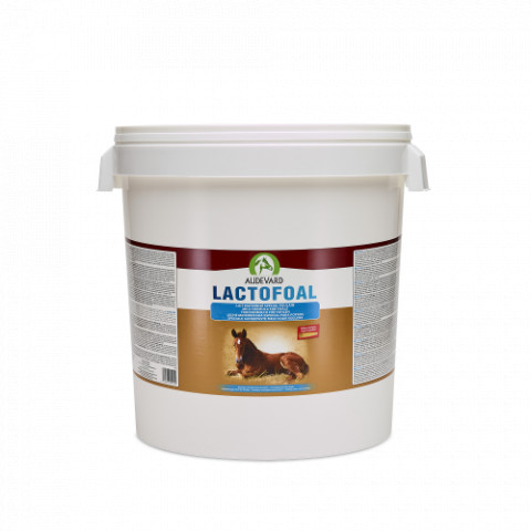 LACTOFOAL Lait matern Fût/14kg